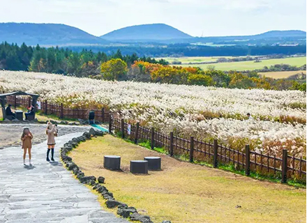 2025濟州島跟團推薦｜高CP值韓國
團體旅遊·親子＋經典一次玩